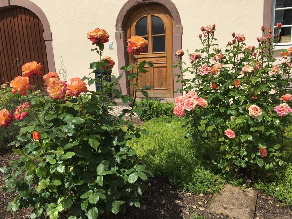 Ferienwohnung In Historischem Bauernhaus In Der Eifel Mettendorf Dış mekan fotoğraf